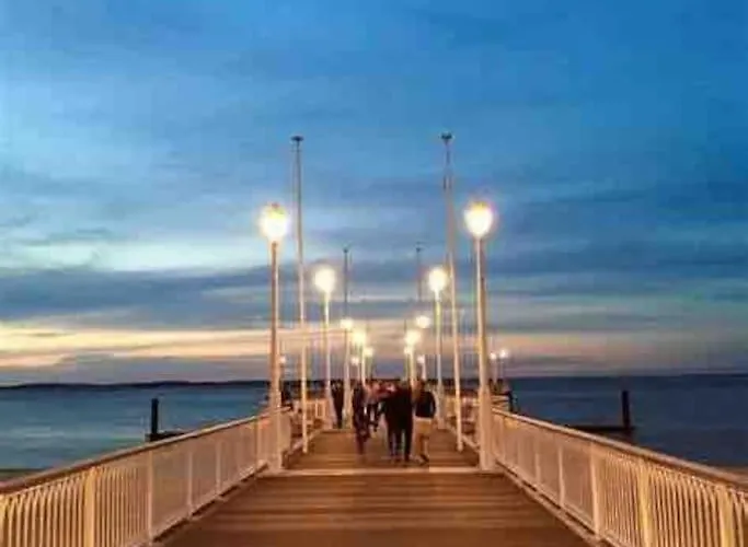 Timounyan T1 N24 Centre Animaux Acceptés Arcachon